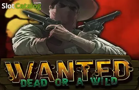 Spinning the reels on Rainbet slots